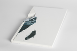 Floating, 2024

Gipsguss (Gips, Posterprint), 41 x 25 x 1,5 cm
rückseitig signiert

Ausrufpreis: 1100,-